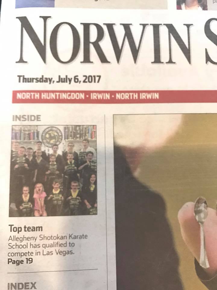 Norwin Ninjas & Viola Karate on Front Page